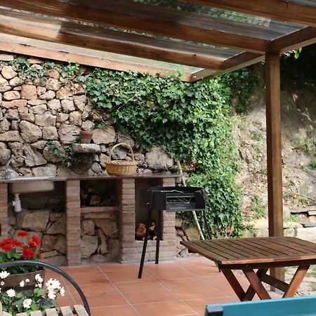 Casa Ecologica En Plena Naturaleza Arboli Exteriér fotografie