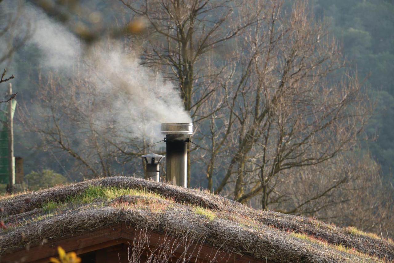 Casa Ecologica En Plena Naturaleza Arboli Exteriér fotografie